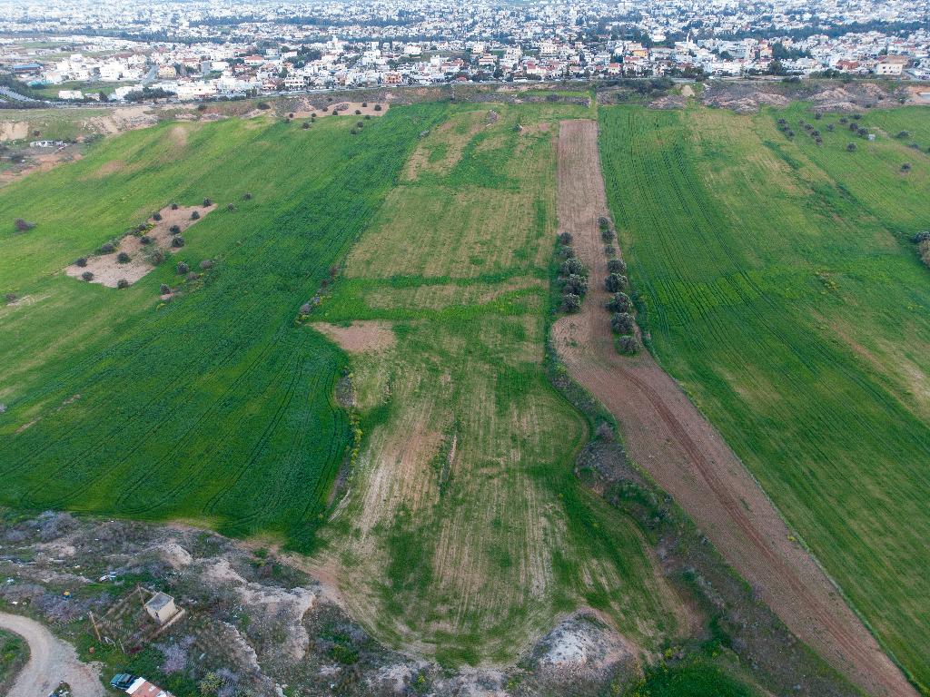 Field-Lakatameia-PR40599