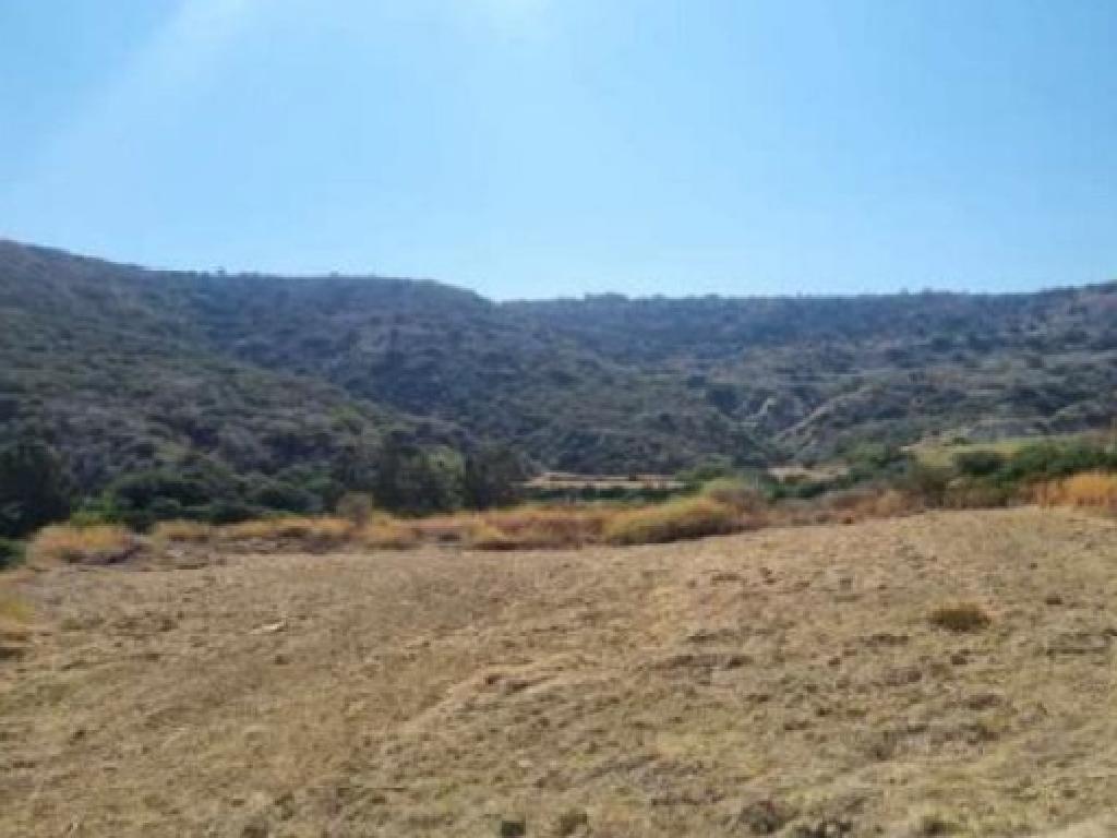 Field - Pissouri, Limassol