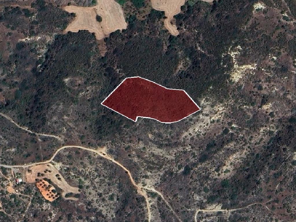Field - Pissouri, Limassol