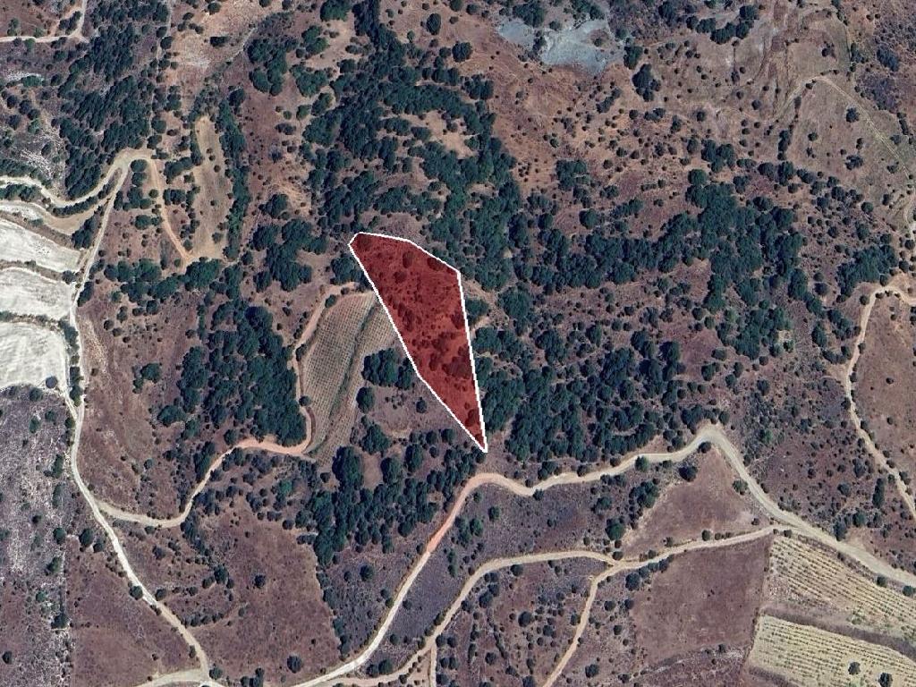 Field-Statos - Agios Fotios-PR42346