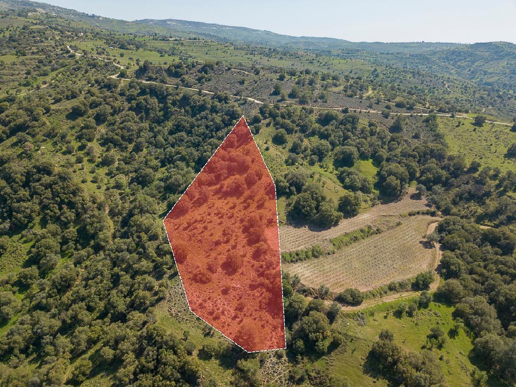 Field-Statos - Agios Fotios-PR42346