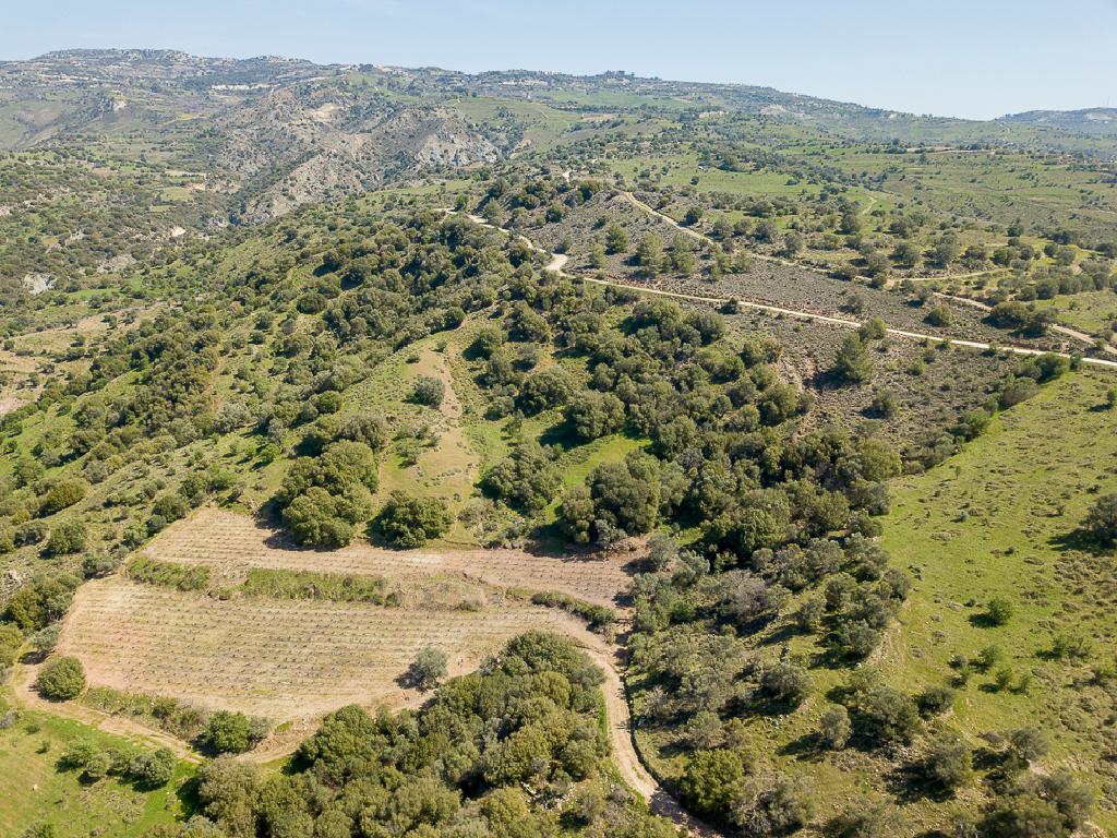 Field-Statos - Agios Fotios-PR42346