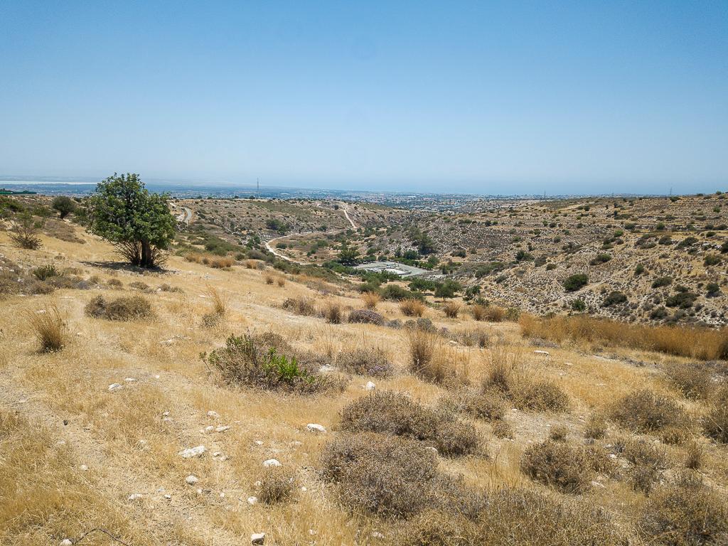 Field-Erimi-PR43346