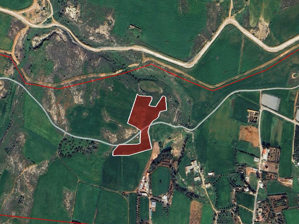 Field - Deriyeia, Famagusta