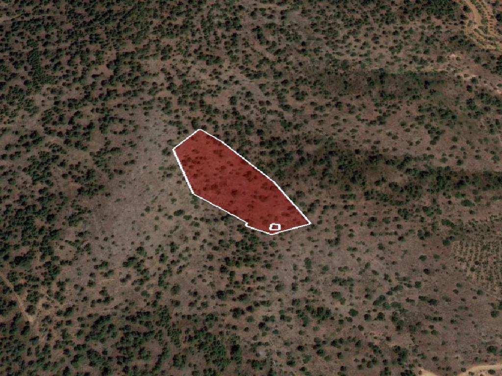 Field - Palaichori Oreinis, Nicosia