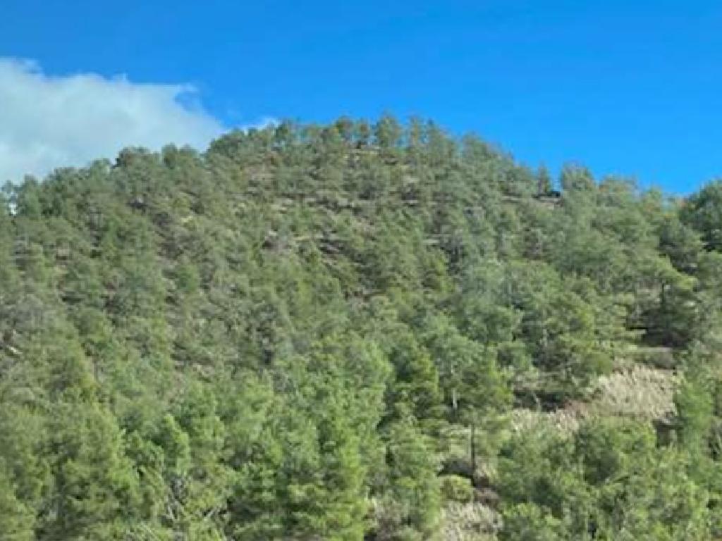 Field - Palaichori Oreinis, Nicosia