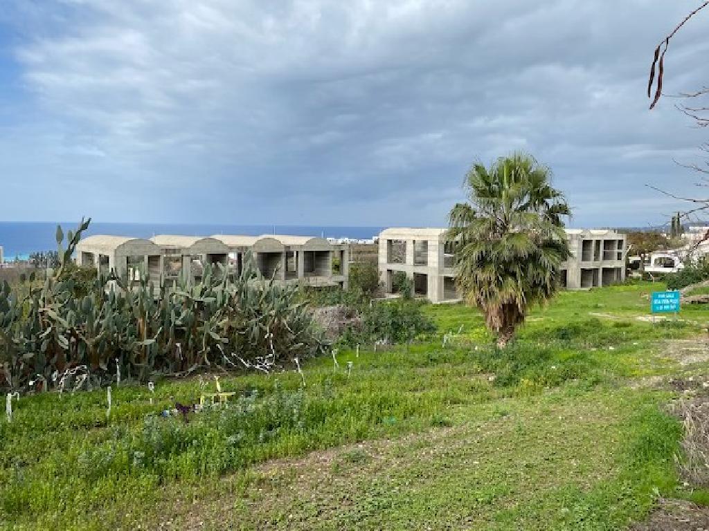 Field (Share) - Kissonerga, Paphos