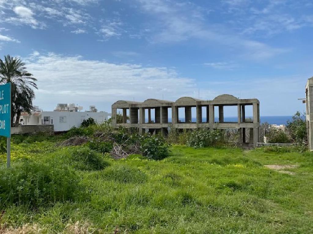 Field (Share) - Kissonerga, Paphos