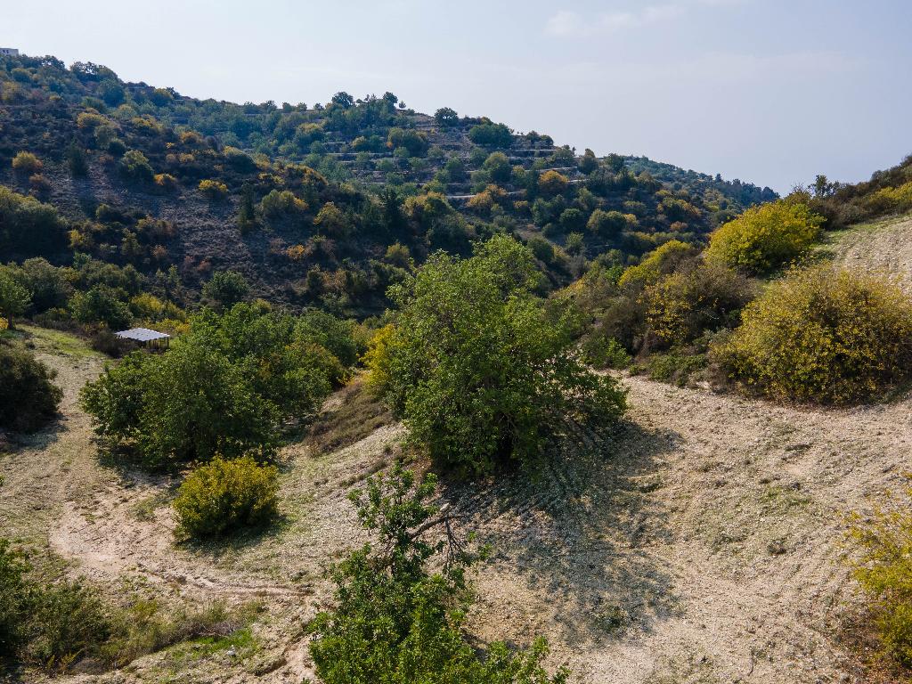 Field - Koili, Paphos