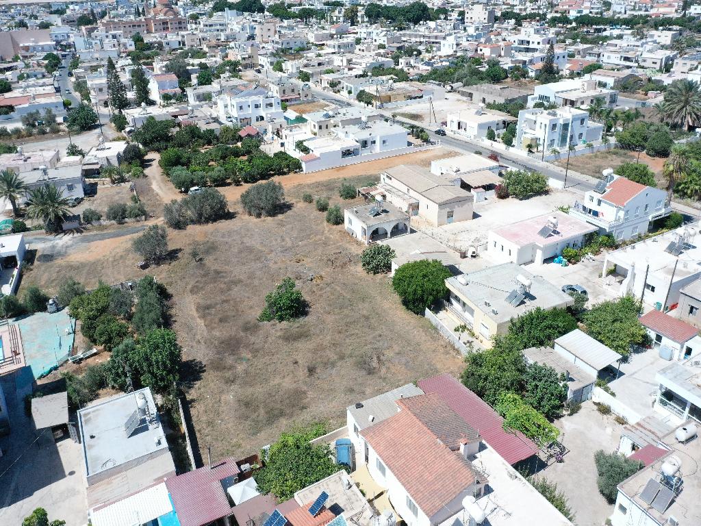 Field-Paralimni-PR11846