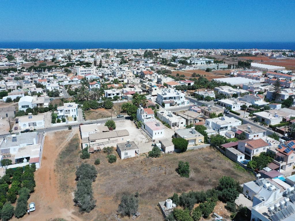 Field-Paralimni-PR11846