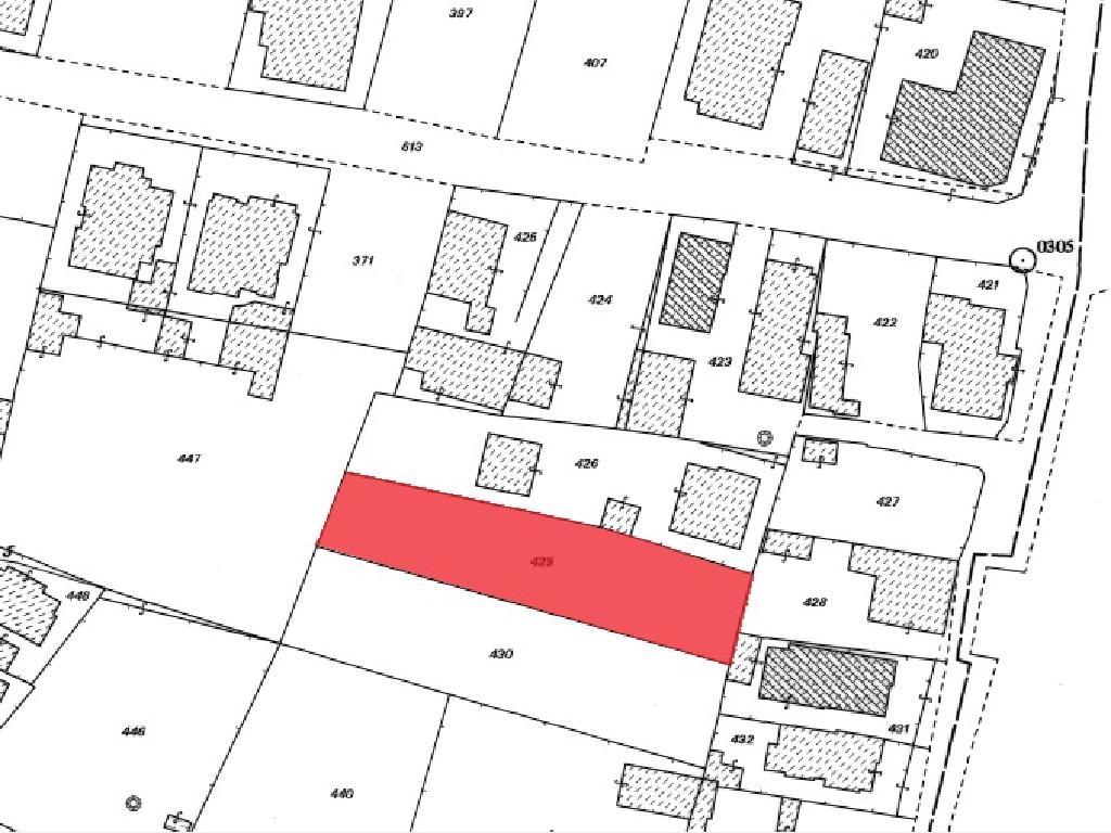 Field-Paralimni-PR11846