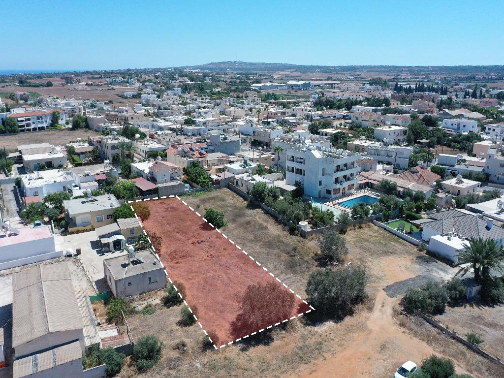 Field-Paralimni-PR11846
