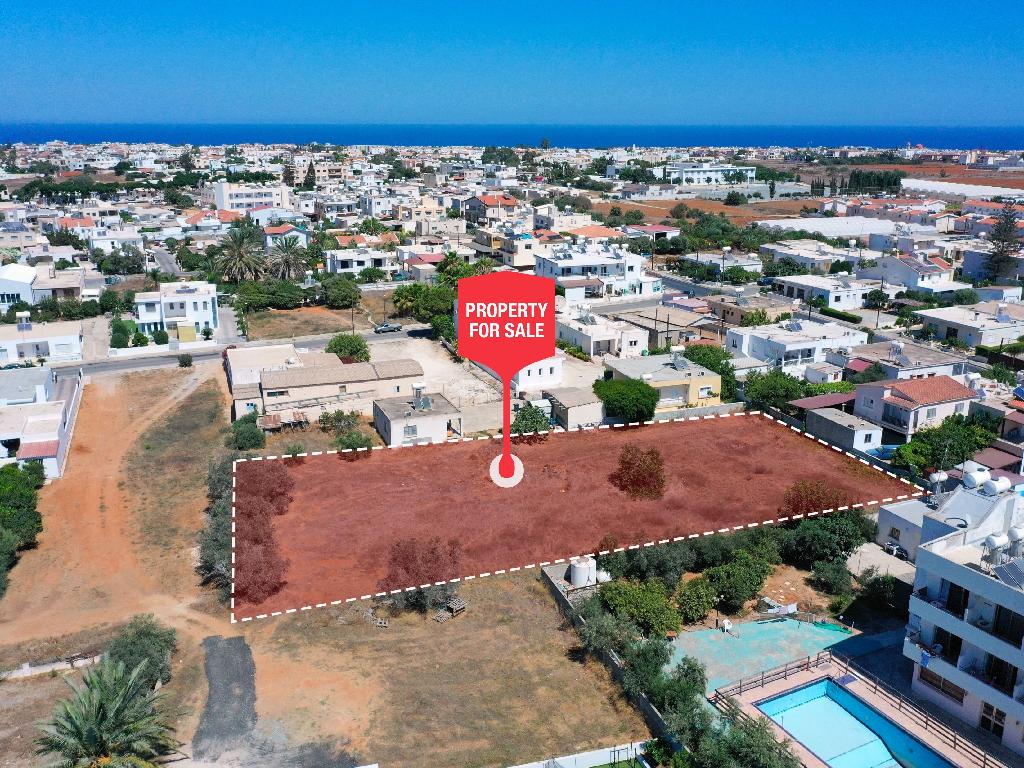 Field-Paralimni-PR11846