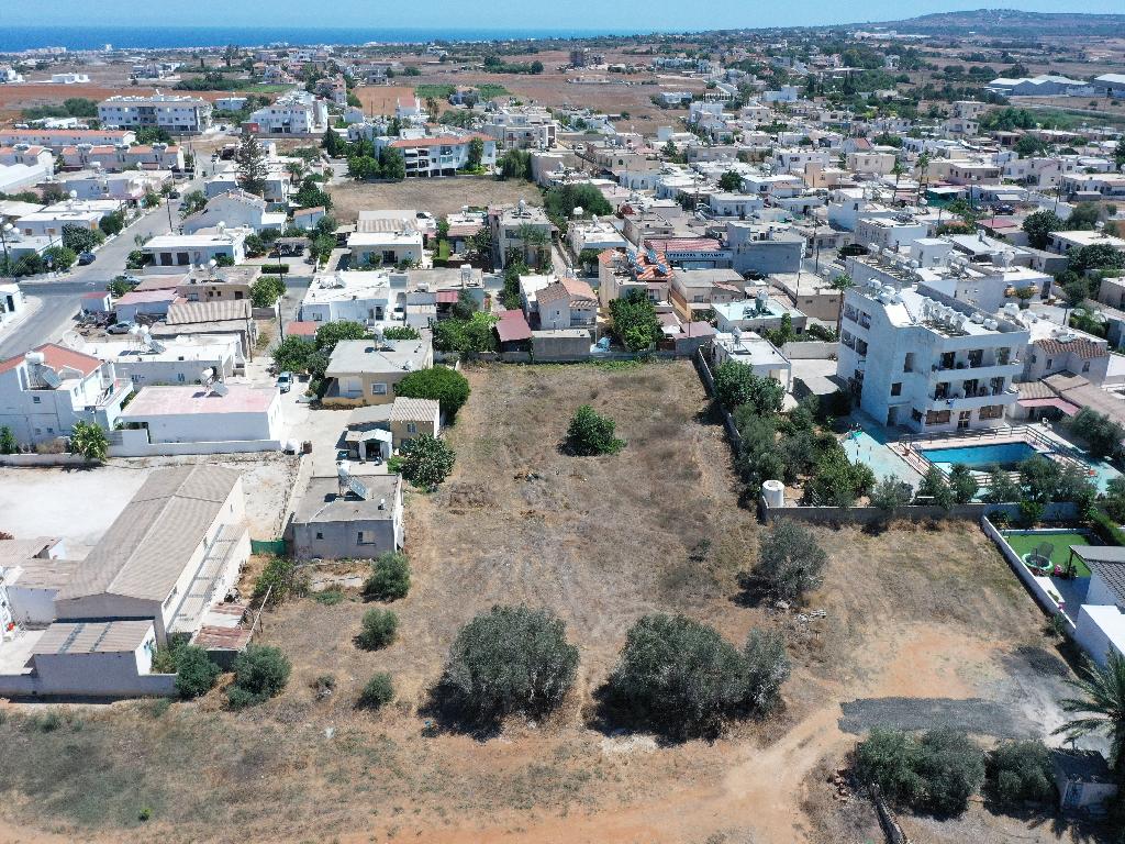 Field-Paralimni-PR11846