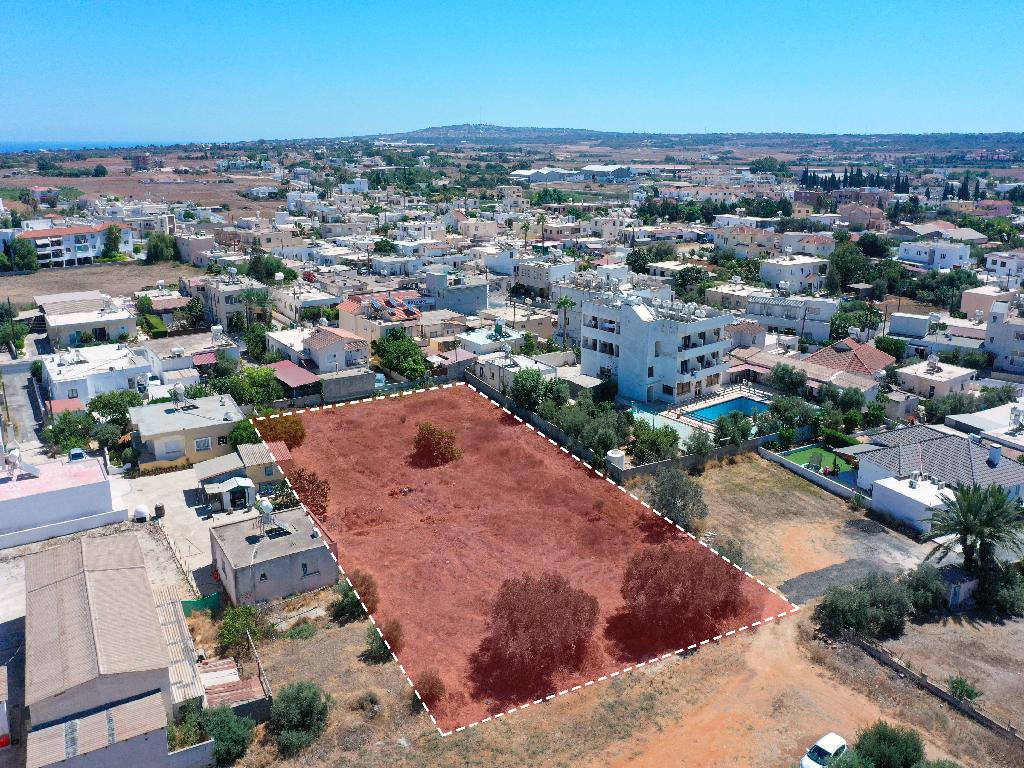 Field-Paralimni-PR11846
