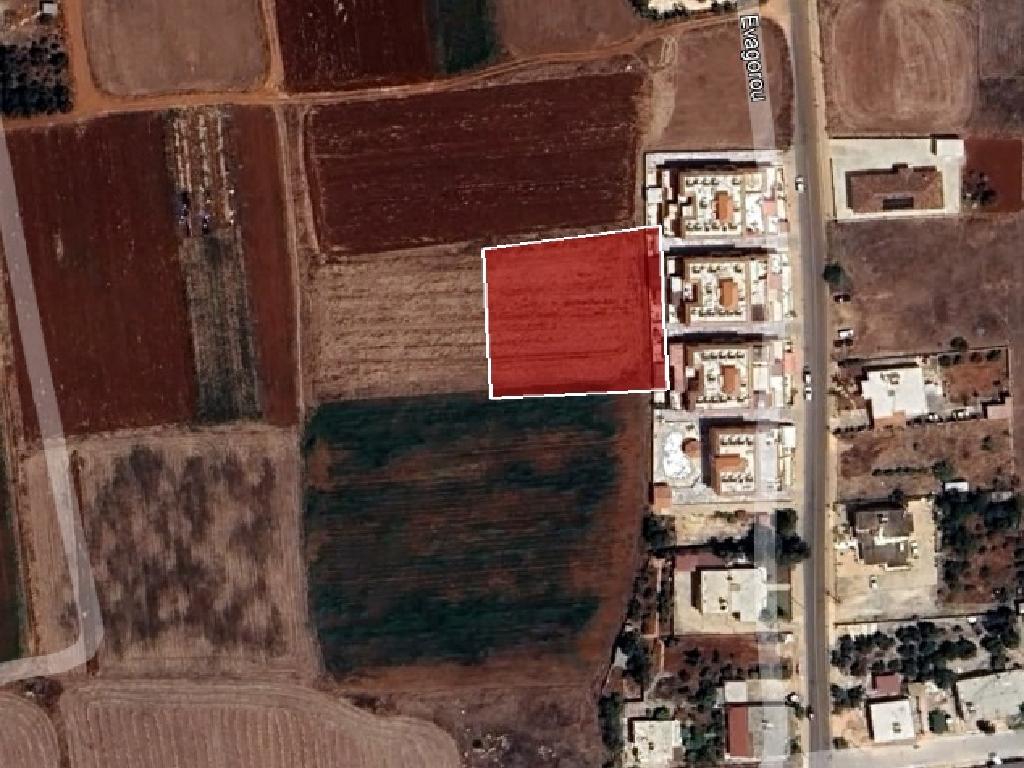 Field-Liopetri-PR12124