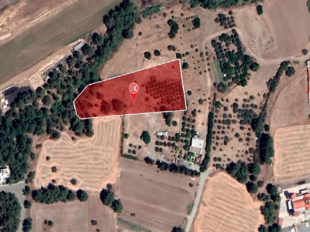Field-Psevdas-PR14697