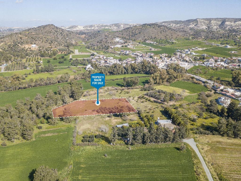 Field-Psevdas-PR14697