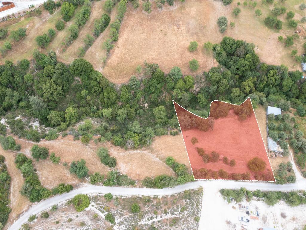 Field - Mesogi, Paphos