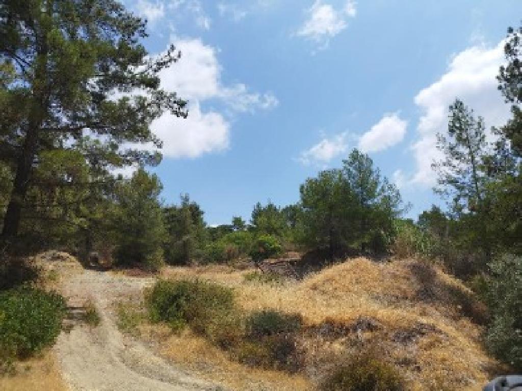 Field - Pera Pedi, Limassol