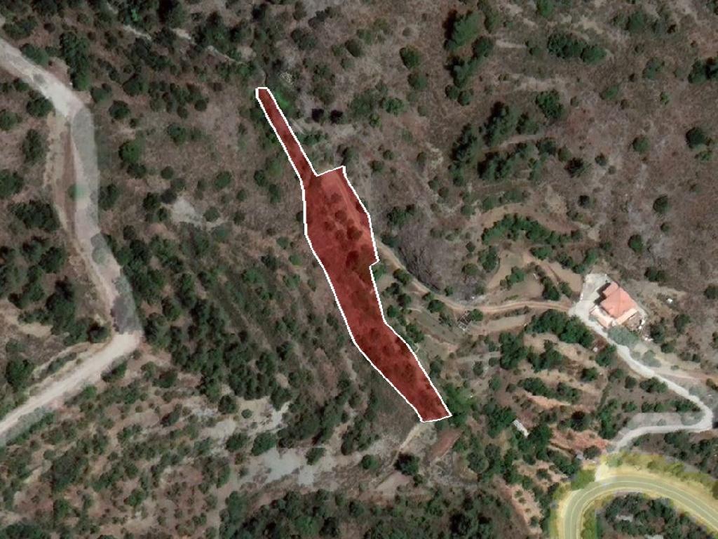 Field-Saranti-PR35669