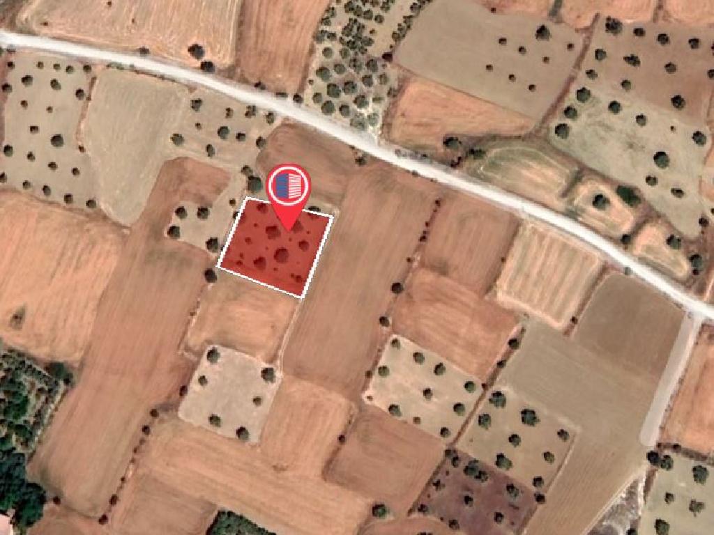 Field-Pera-PR35788