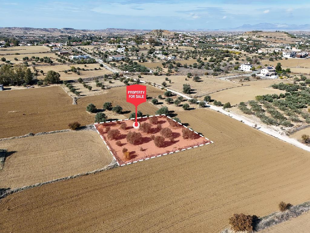 Field-Pera-PR35788