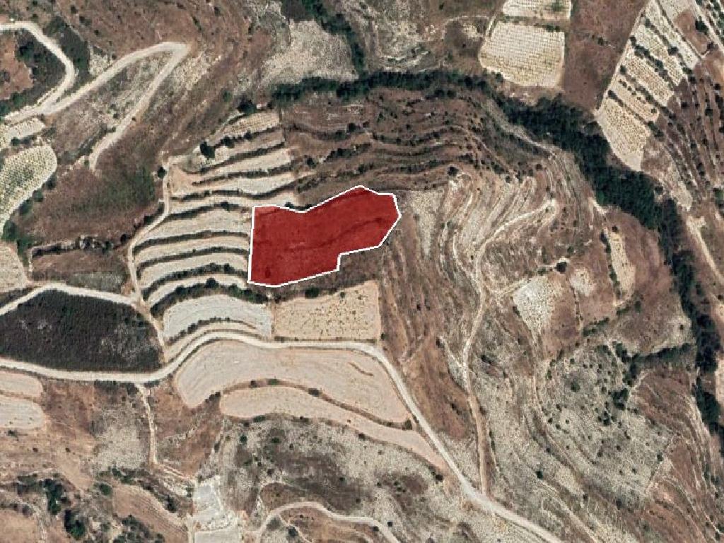 Field-Pachna-PR35810