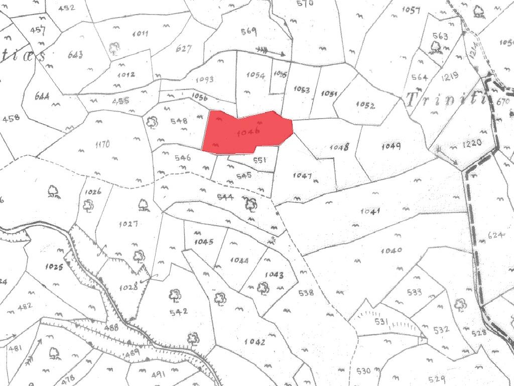Field-Pachna-PR35810