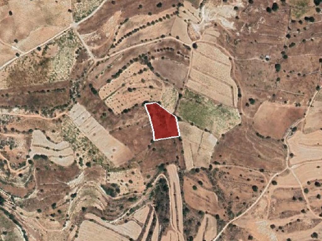 Field-Pachna-PR36487