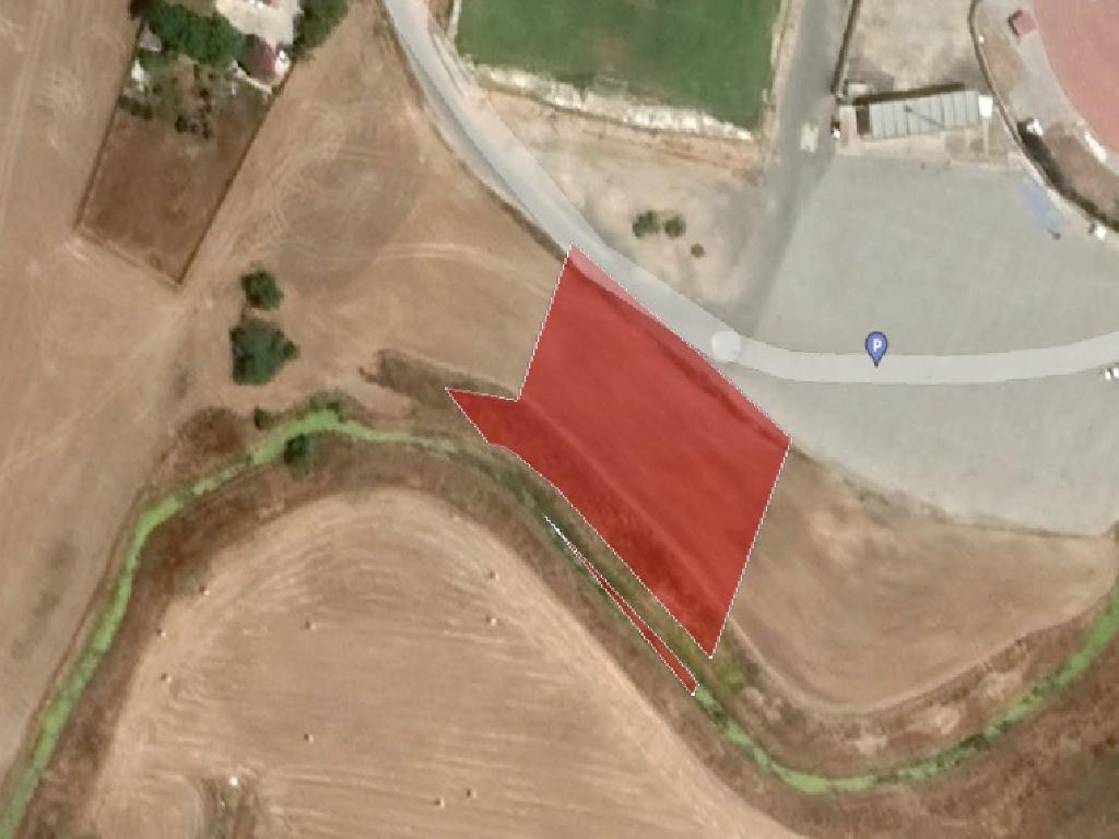 Field-Paralimni-PR36001