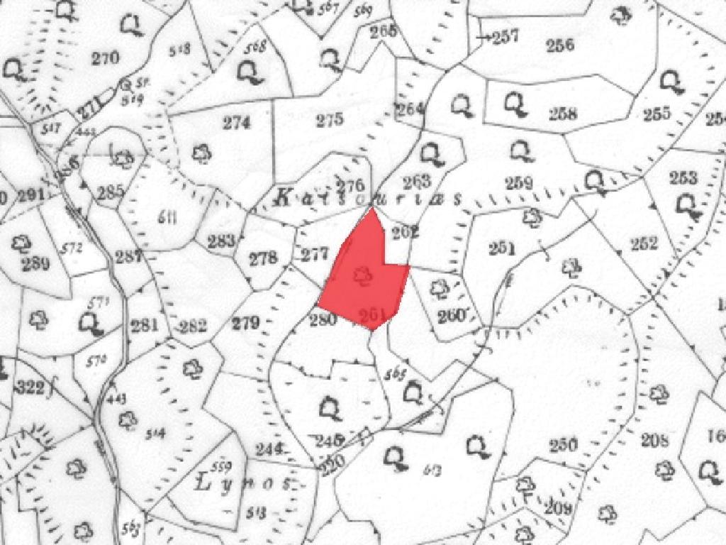 Field-Ora-PR36394