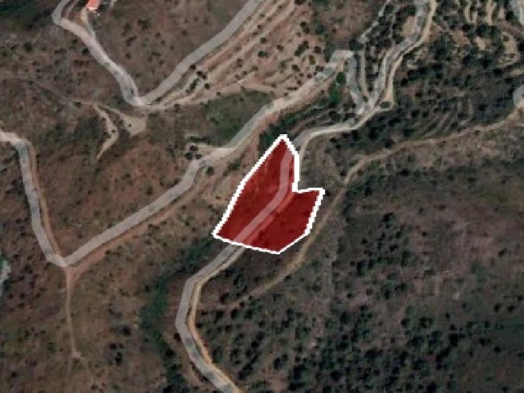 Field-Ora-PR36394