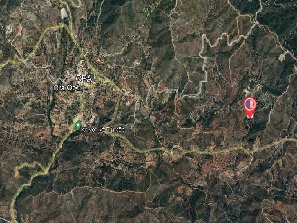 Field-Ora-PR36394