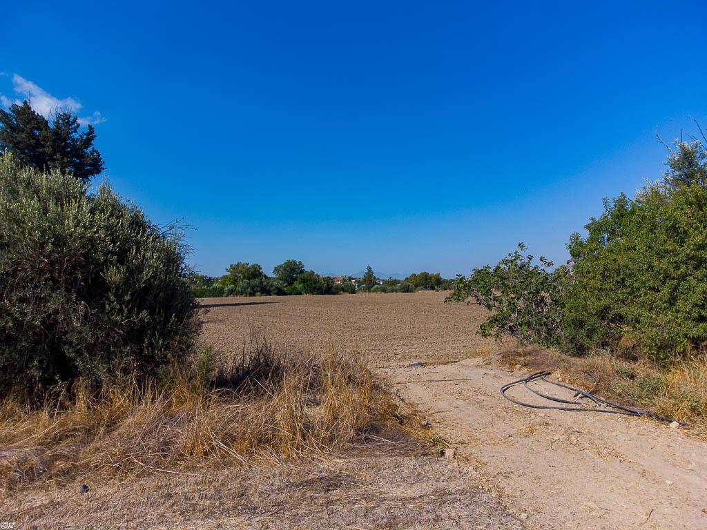 Field (Share) – Dali, Nicosia
