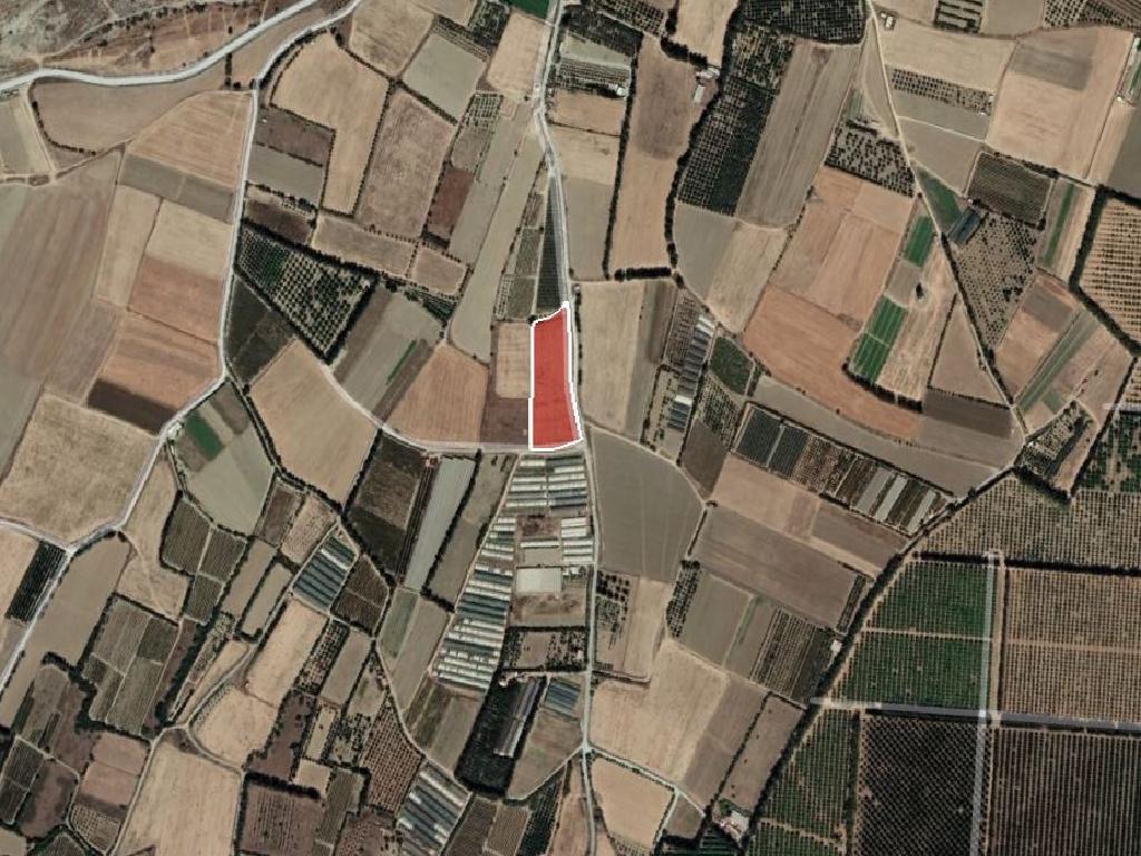 Field - Episkopi, Limassol