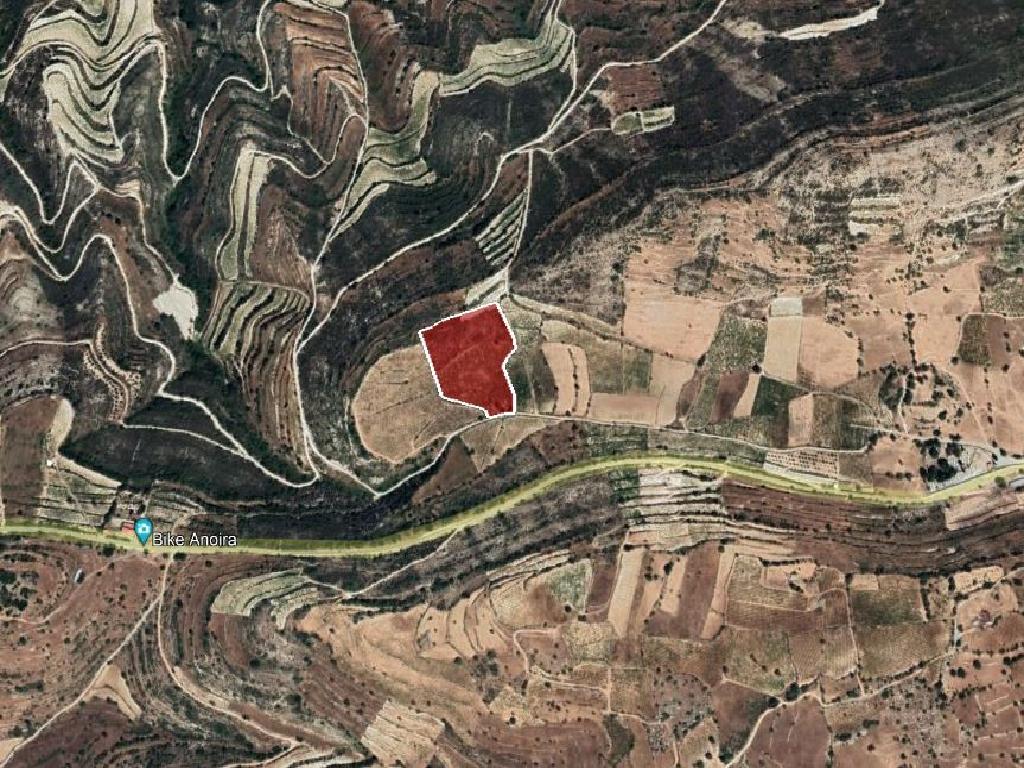 Field –Pachna, Limassol