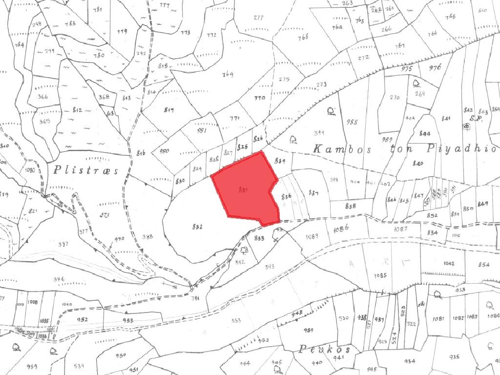 Field –Pachna, Limassol
