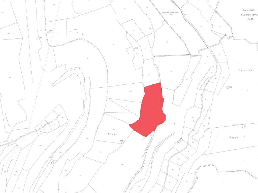 Field-Germasogeia-PR36936