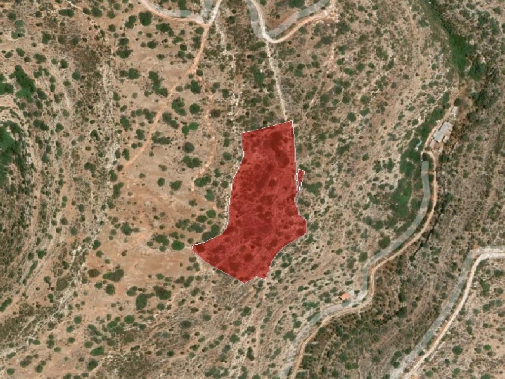 Field-Germasogeia-PR36936