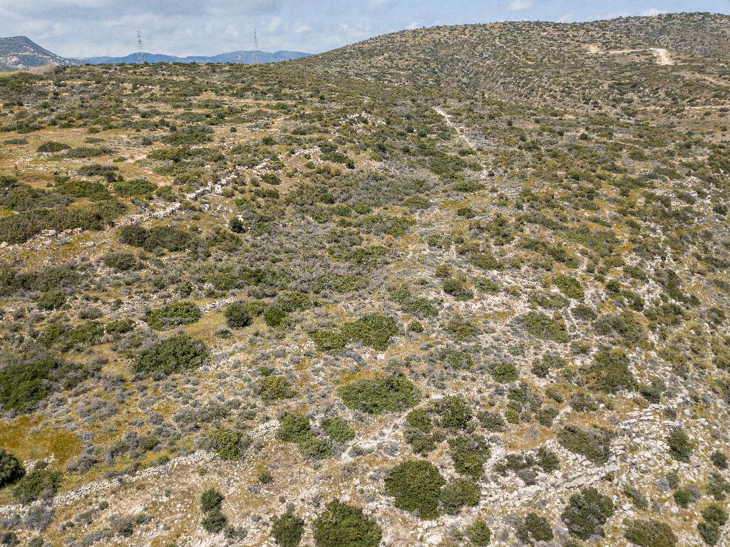 Field (Share) - Germasogeia, Limassol