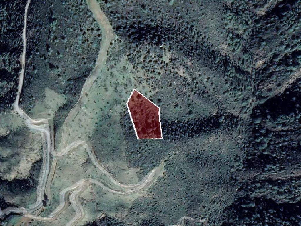 Field-Vavatsinia-PR38079