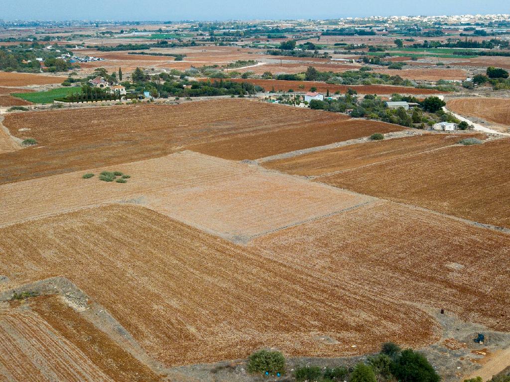 Field - Frenaros, Famagusta