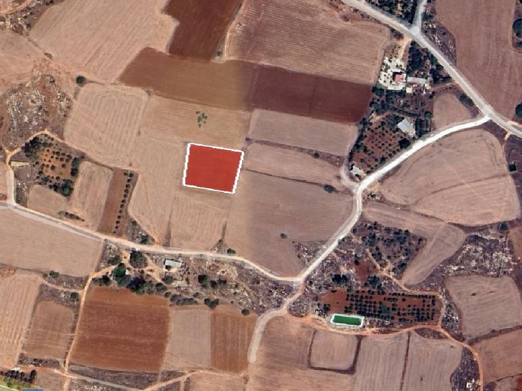 Field - Frenaros, Famagusta