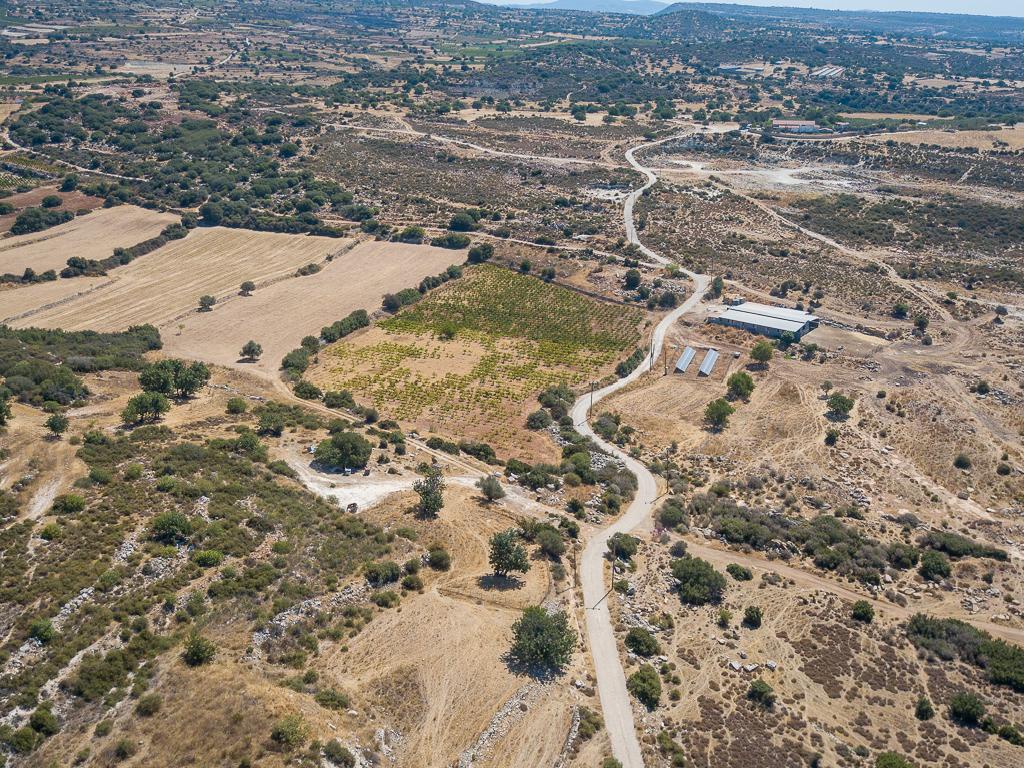 Field-Pachna-PR39633