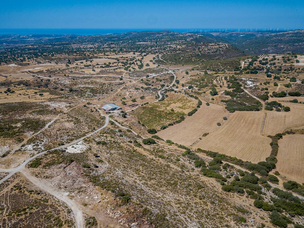 Field-Pachna-PR39633