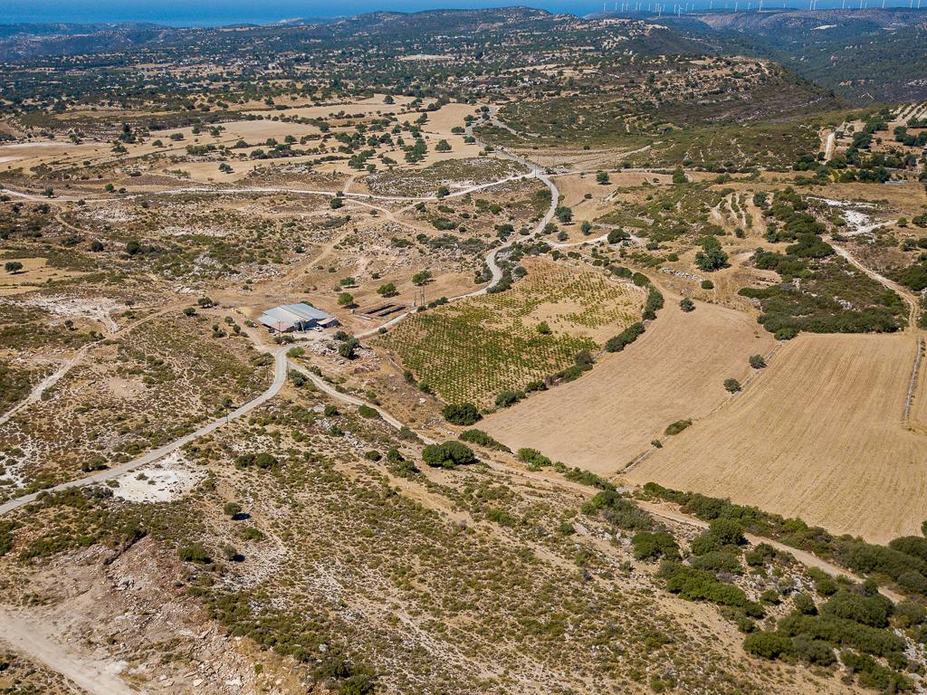 Field-Pachna-PR39633