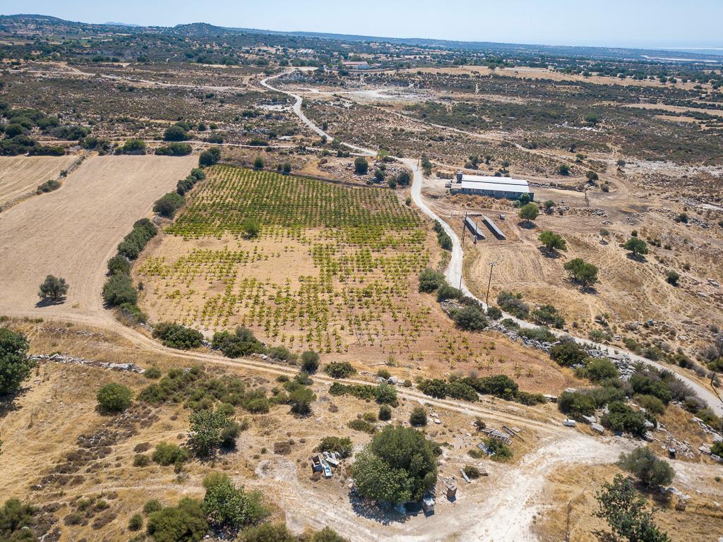 Field-Pachna-PR39633