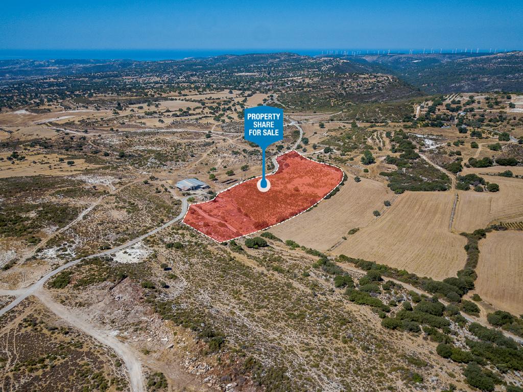 Field-Pachna-PR39633